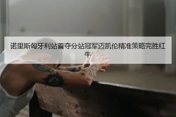 诺里斯匈牙利站首夺分站冠军迈凯伦精准策略完胜红牛